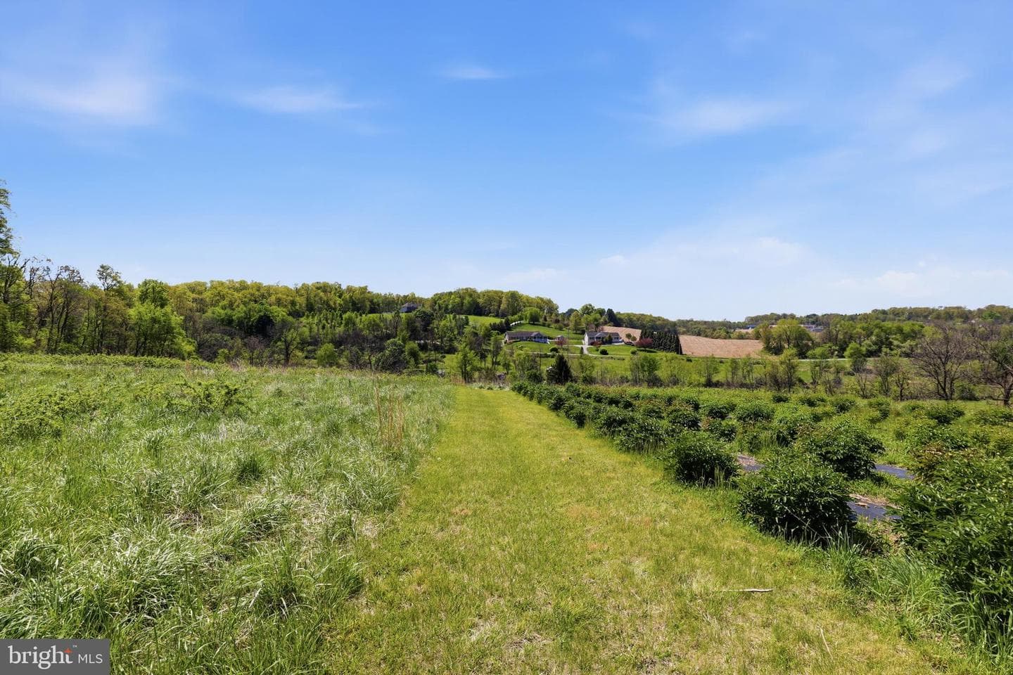 1689 Tolna Junction Lane photo 79