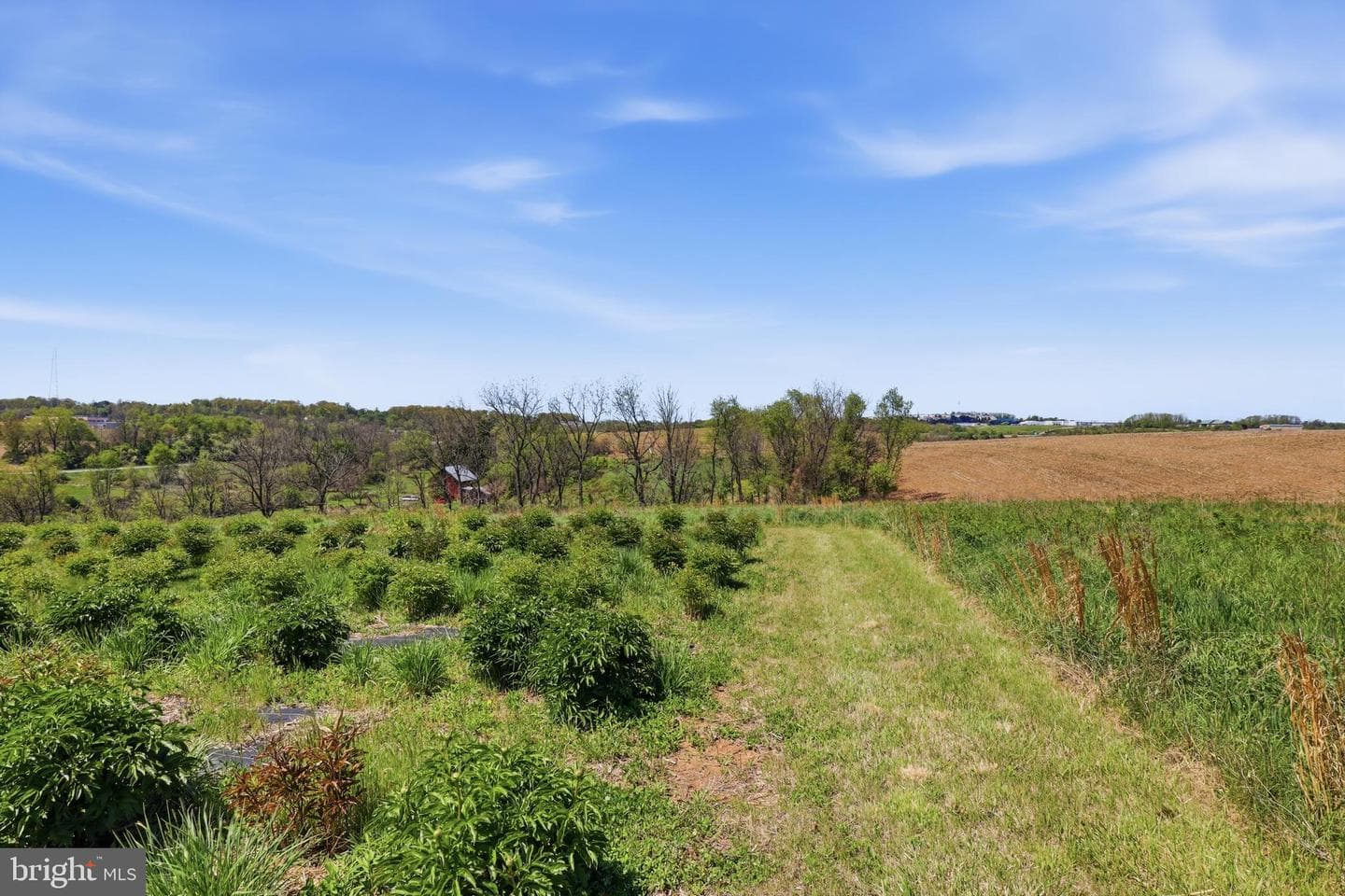 1689 Tolna Junction Lane photo 80