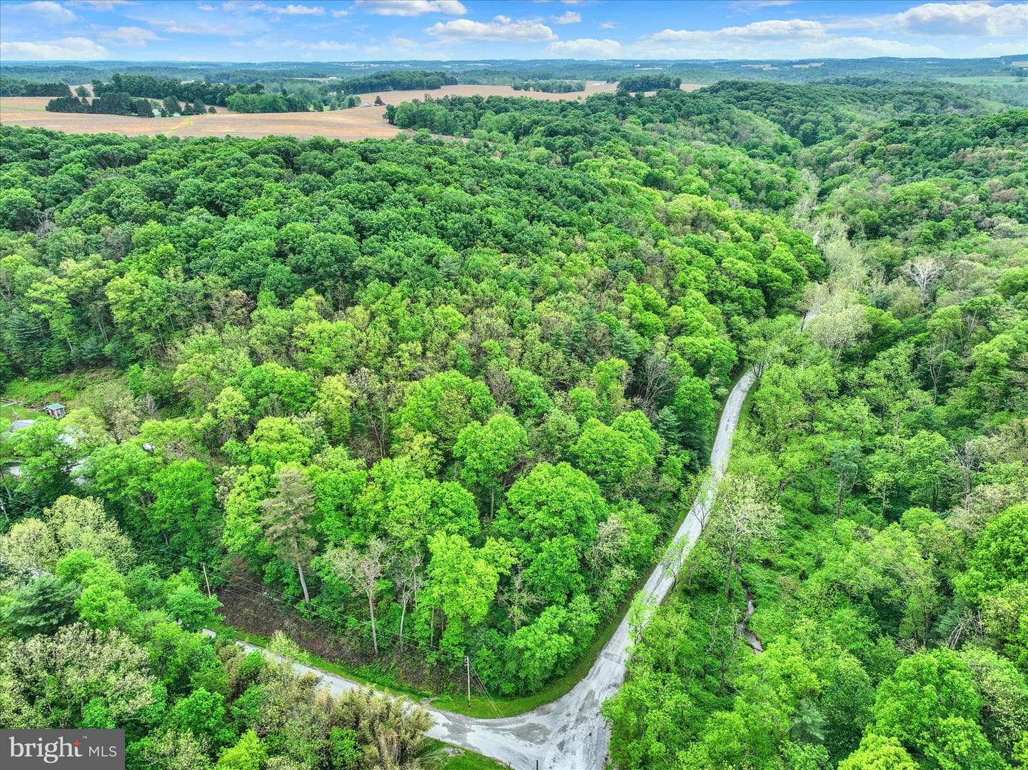 13127 Manor Furnace Road photo 64