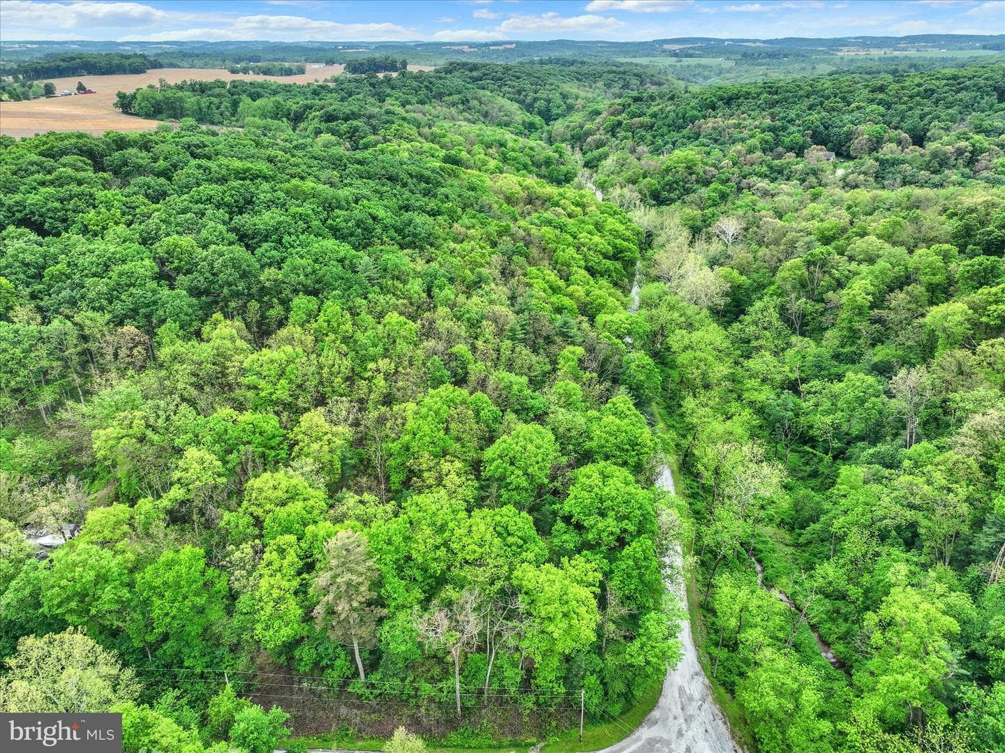 13127 Manor Furnace Road photo 65