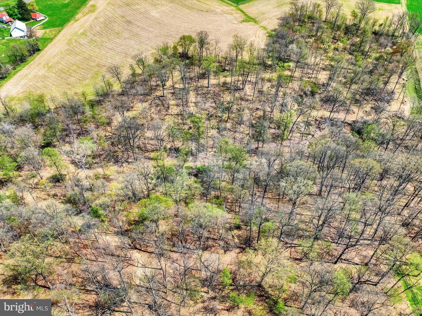 4192 Evergreen Rd photo 8
