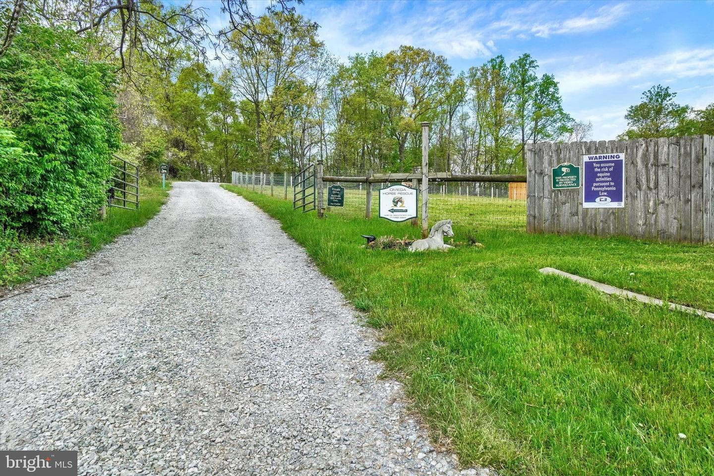 8272 Woodbine Road photo 38