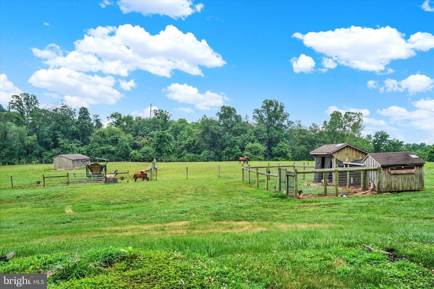8272 Woodbine Road photo 64