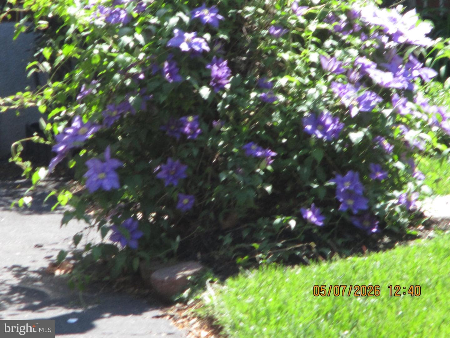 45 Ridgeway Drive photo 57