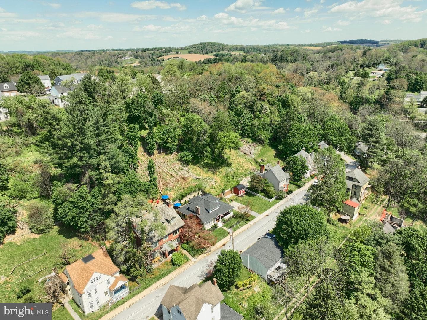39 Cottage Avenue photo 48