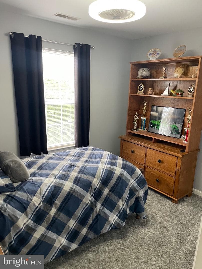390 Bruaw Drive photo 21