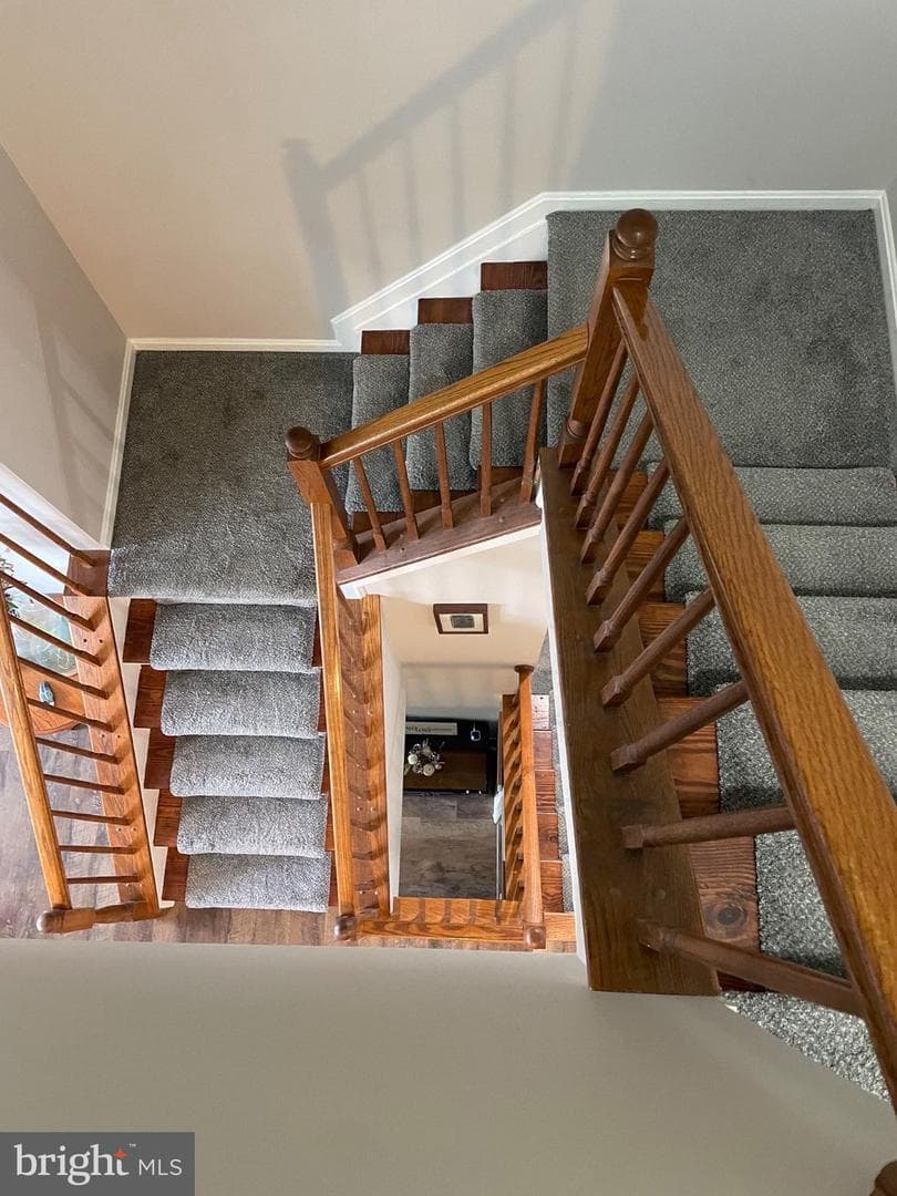 390 Bruaw Drive photo 29