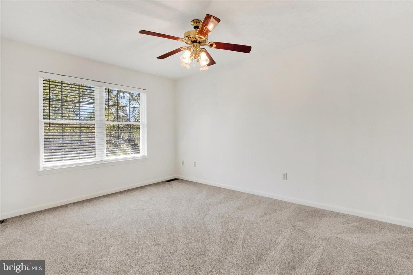 8 Mccleary Court photo 17