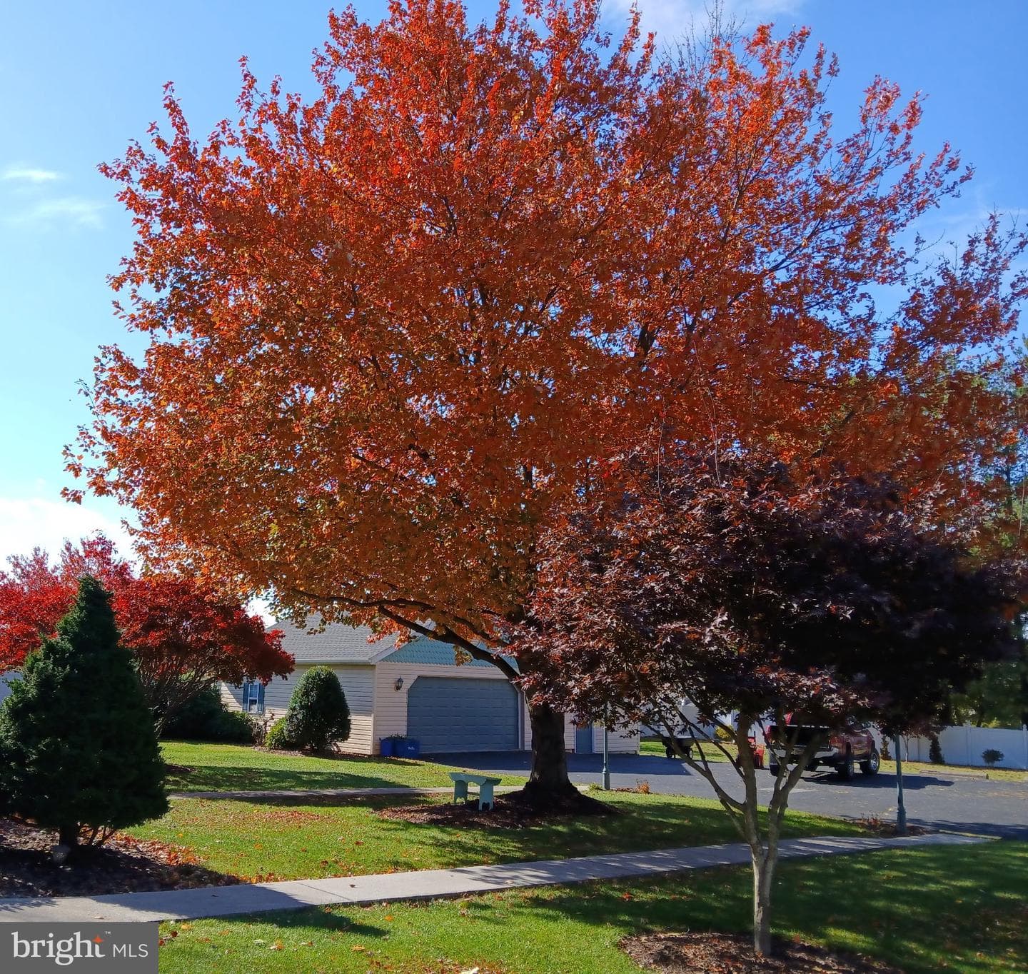 345 Westminster Avenue photo 15