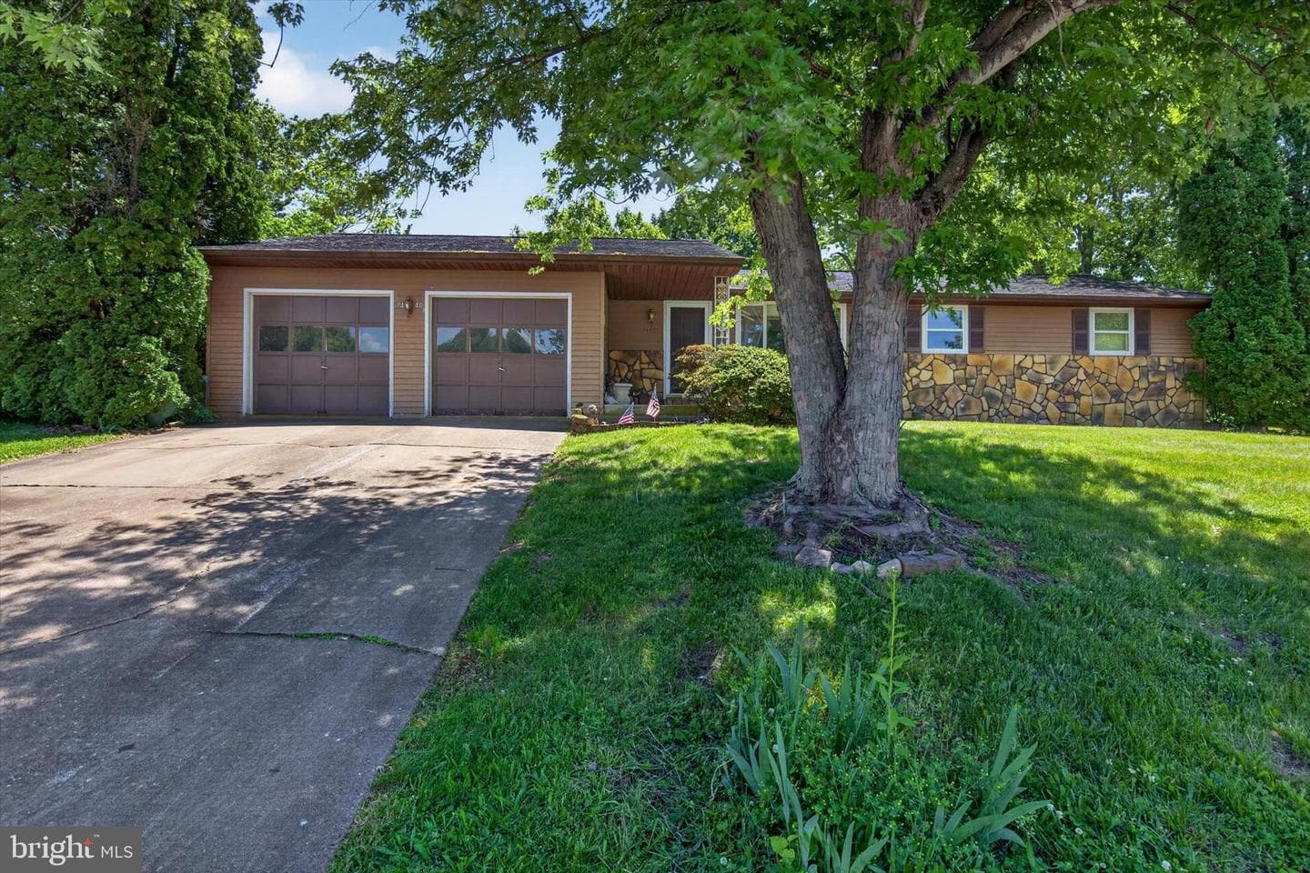 1440 Equestrian Drive photo 1
