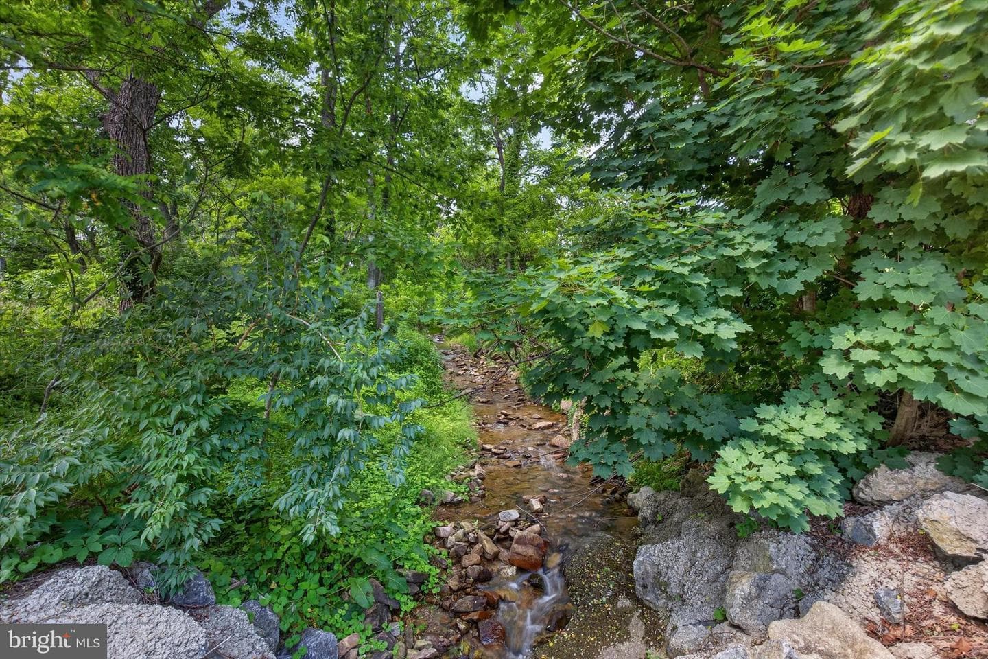 305 Kreutz Creek Road photo 16