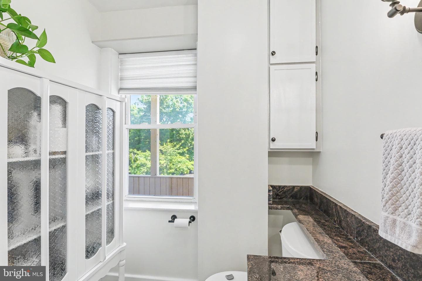 3 Homewood Street photo 26