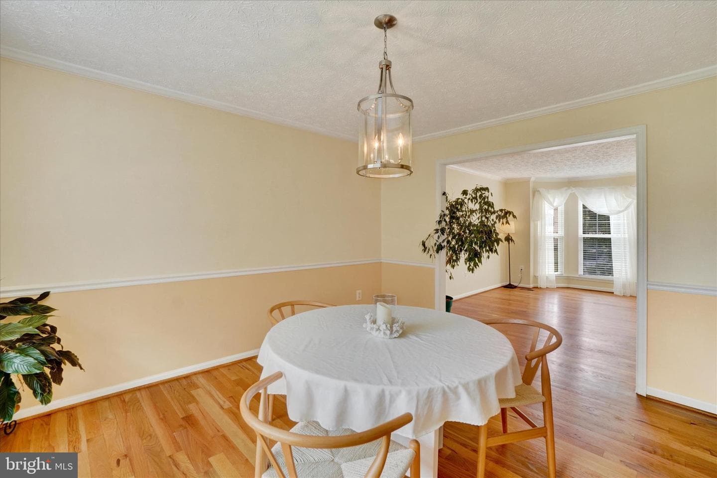 665 Clydesdale Drive photo 18