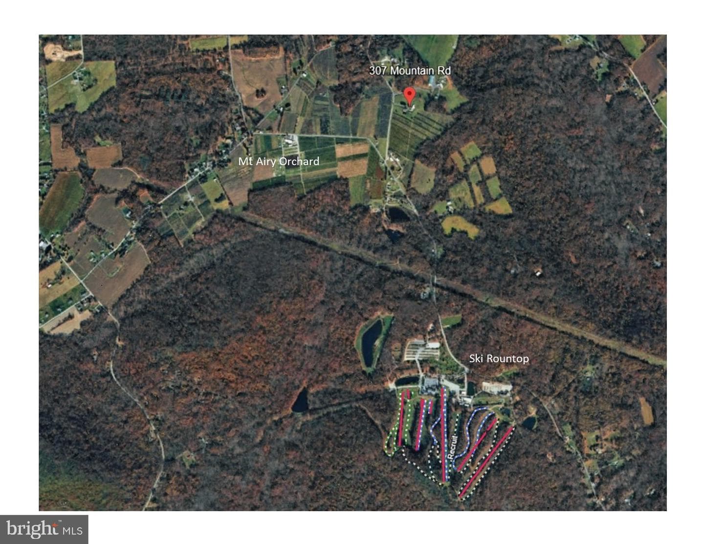 307 Mountain Road photo 41