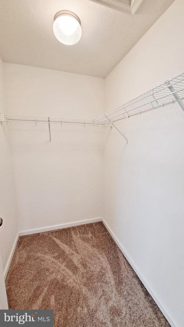 26 Holstein Drive photo 48
