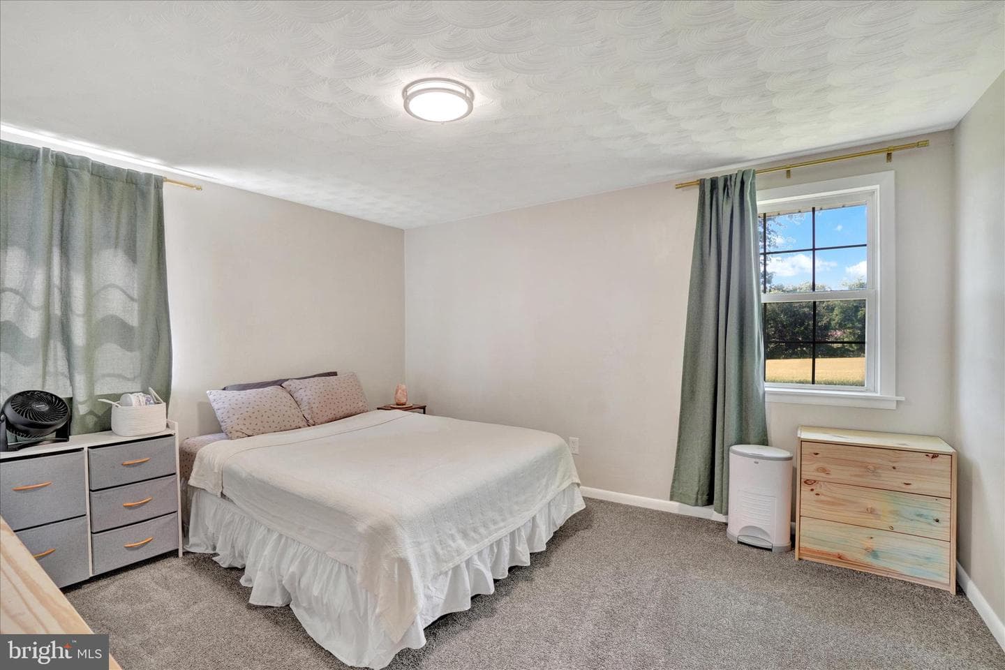 4161 Walters Hatchery Road photo 20