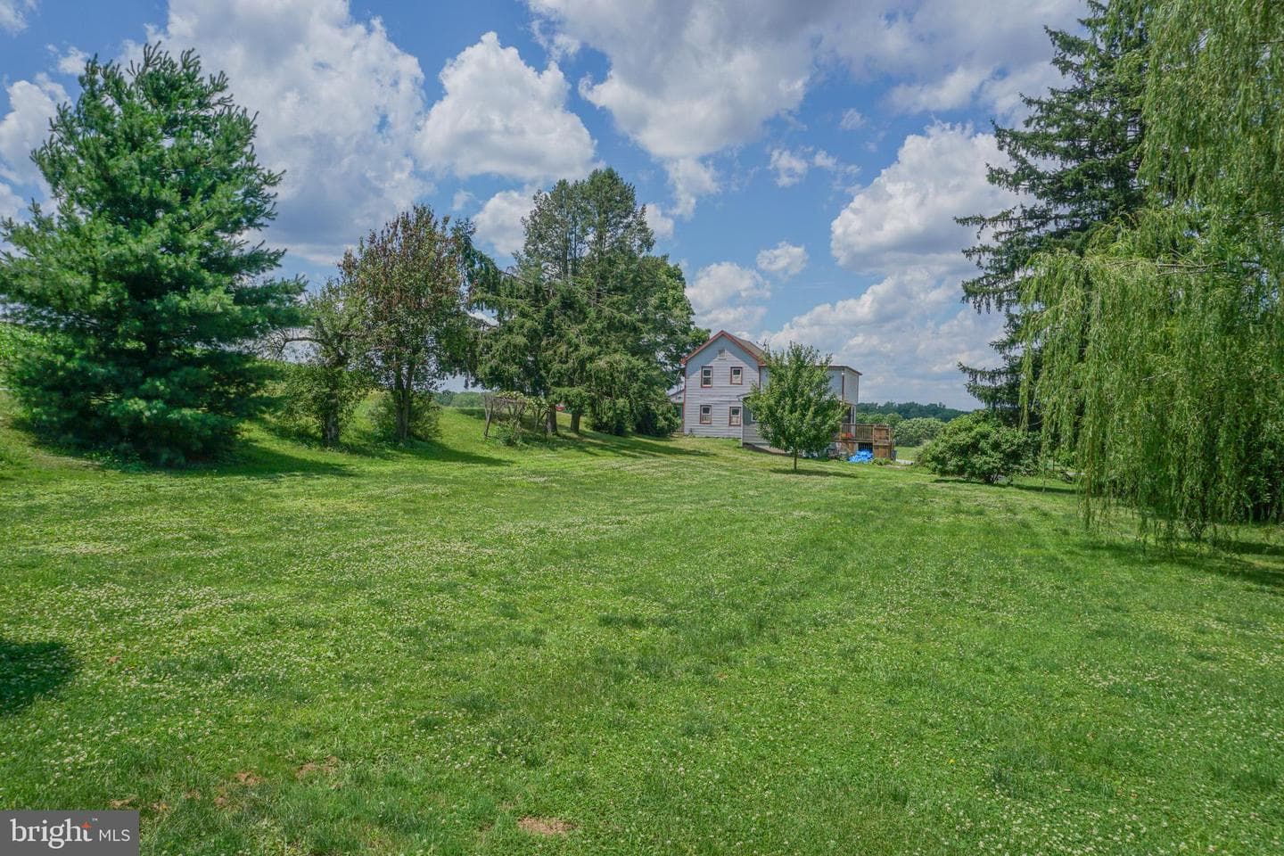 1303 Sunnyside Road photo 50