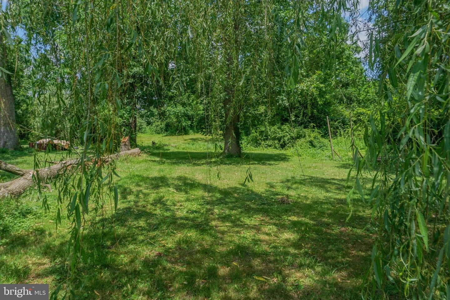 1303 Sunnyside Road photo 51