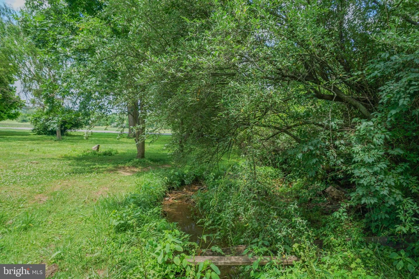 1303 Sunnyside Road photo 56