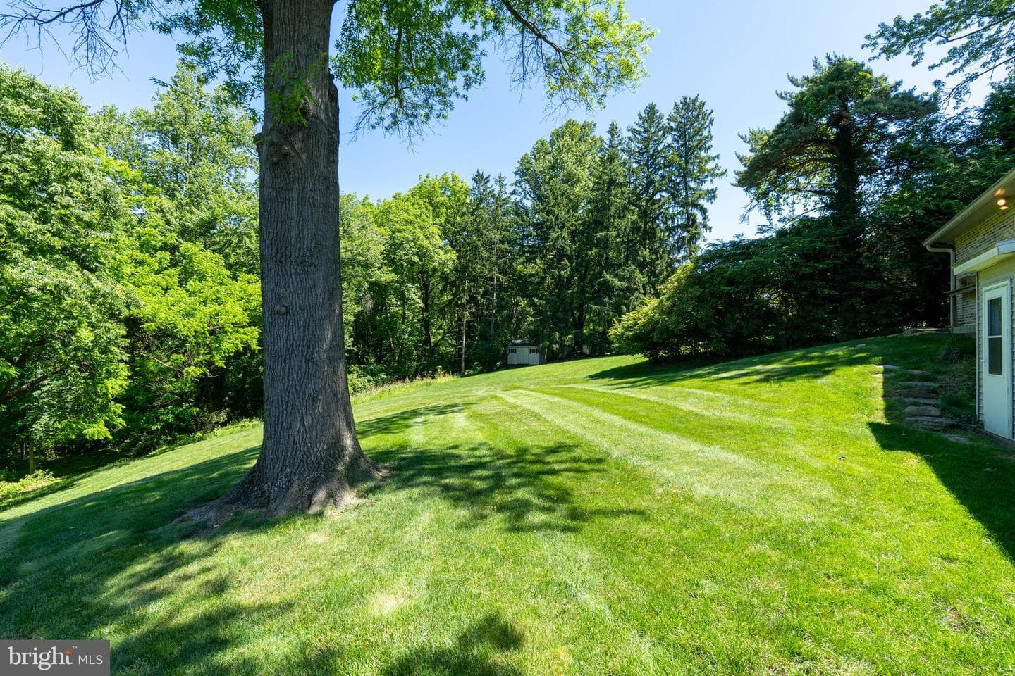 4156 Wilshire Drive photo 37