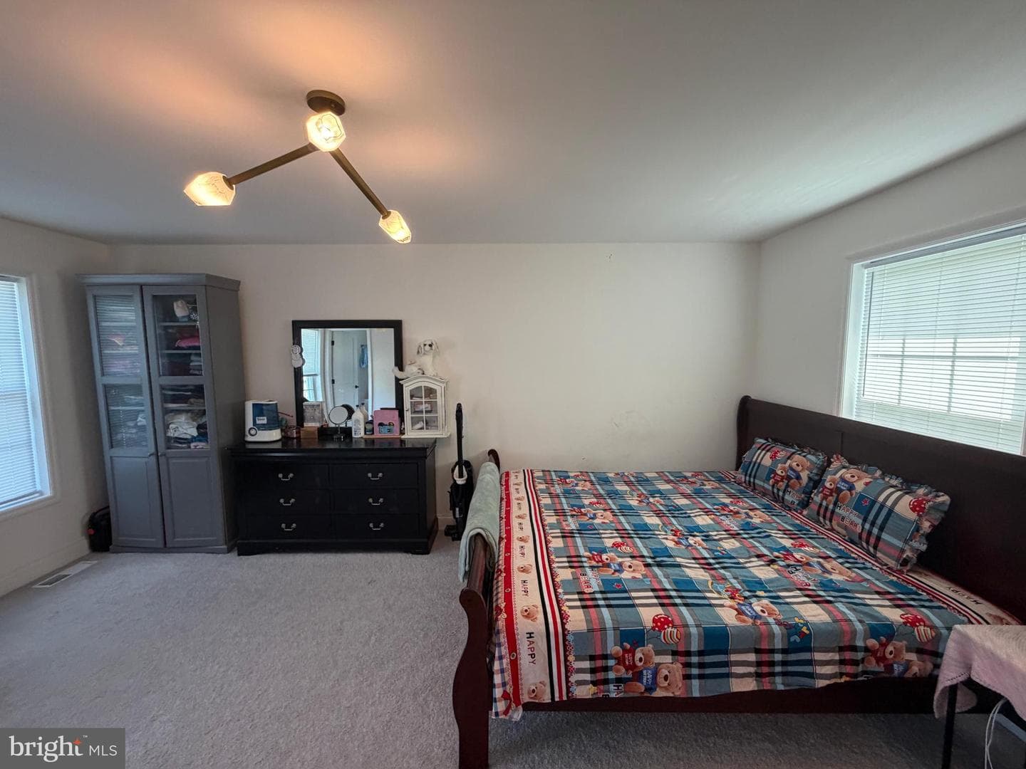 160 Payne Drive photo 42