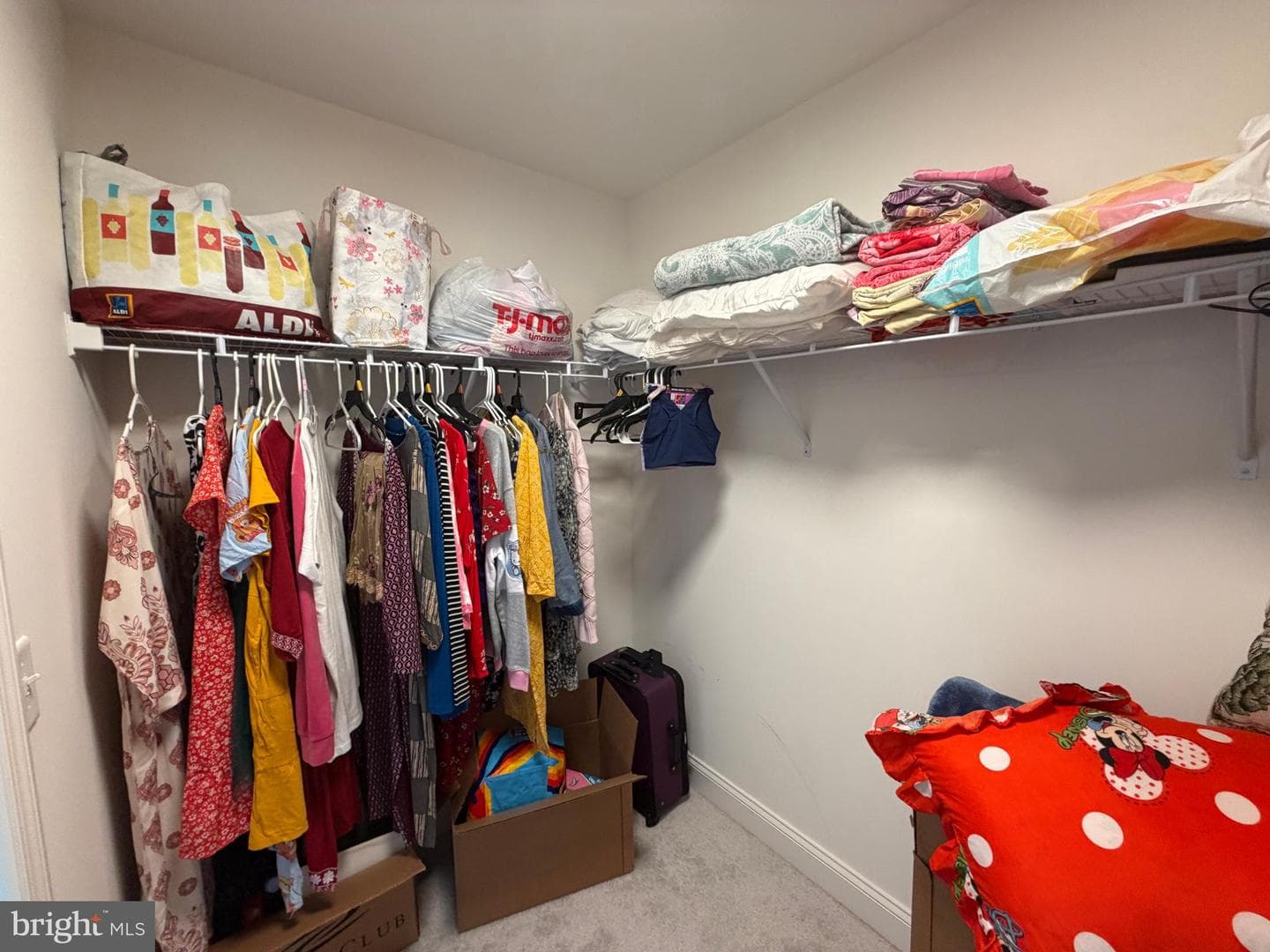 160 Payne Drive photo 47