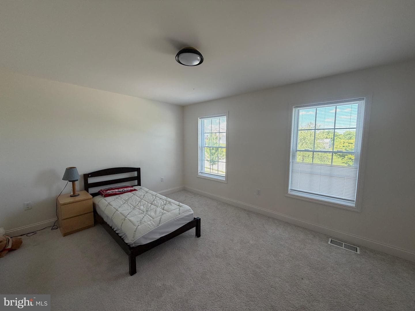 160 Payne Drive photo 61