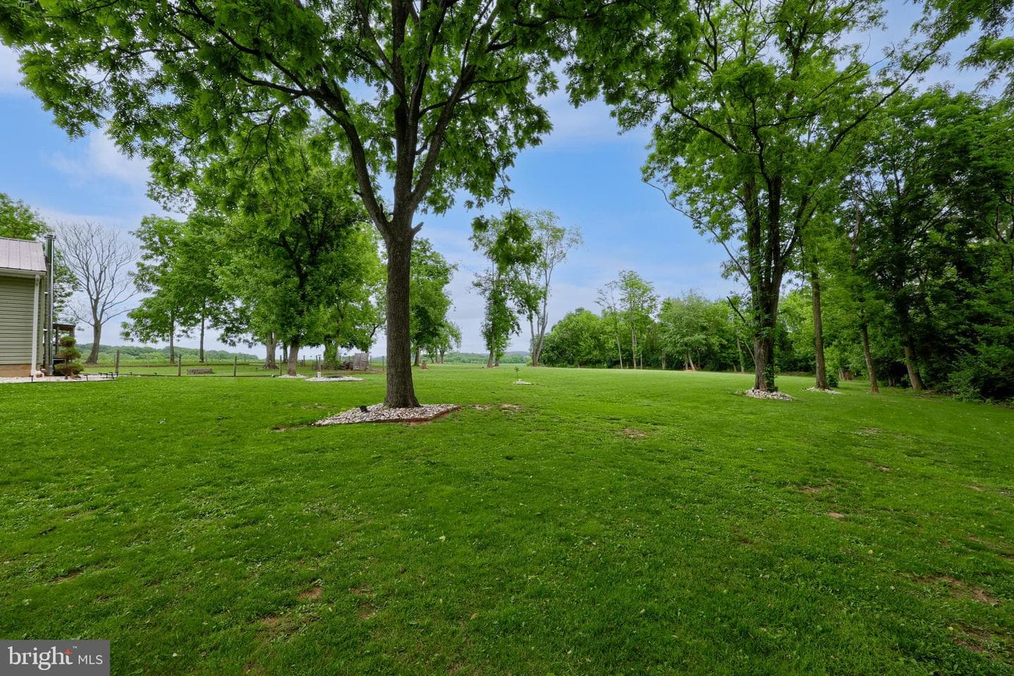 1025 White Oak Road photo 14