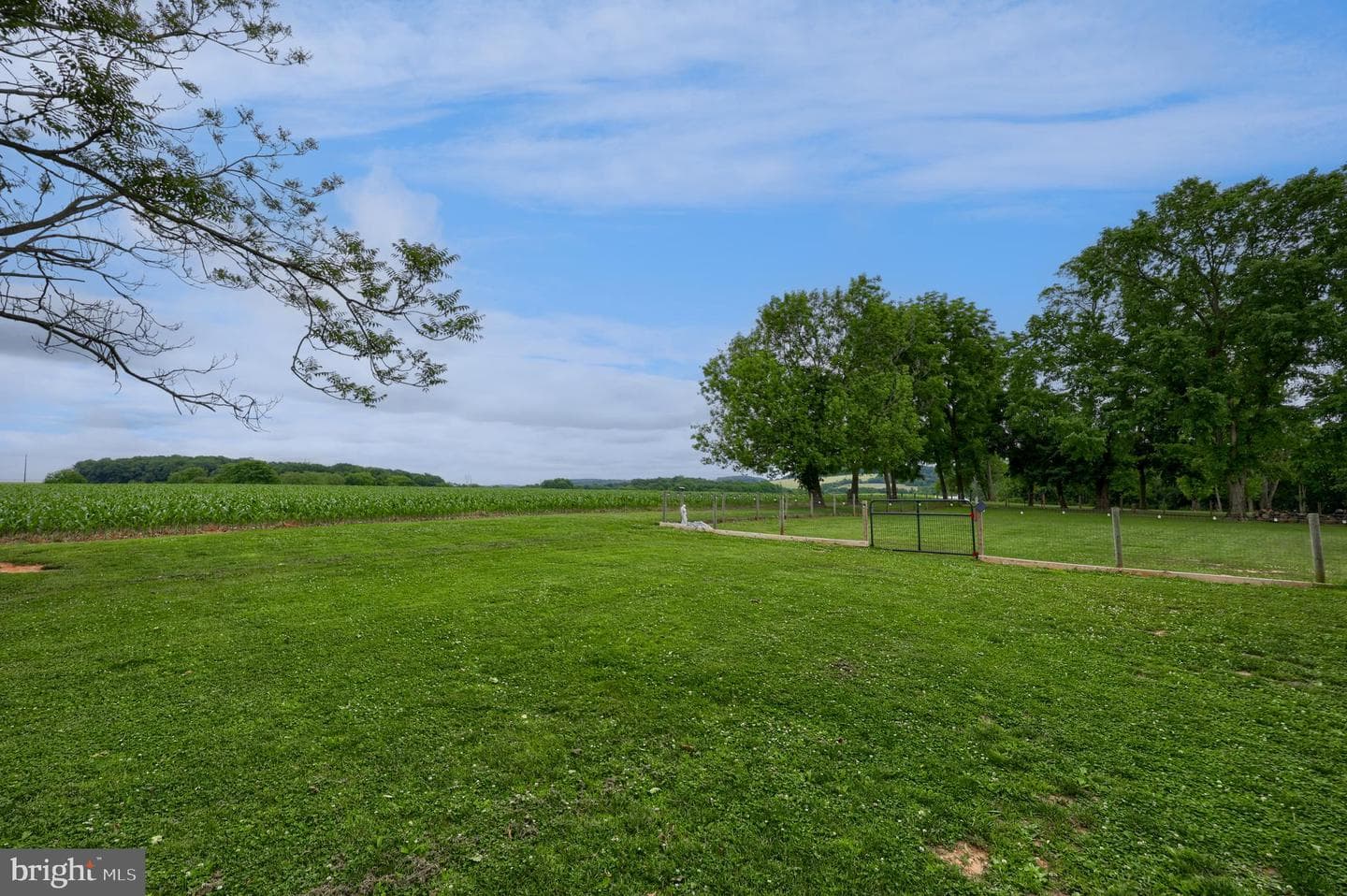 1025 White Oak Road photo 17