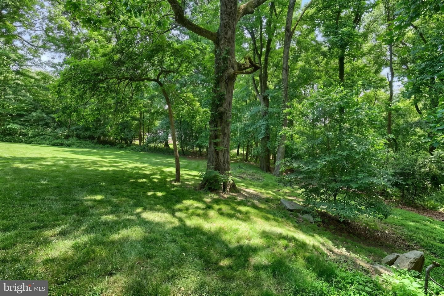 2251 Tall Oaks Lane photo 45