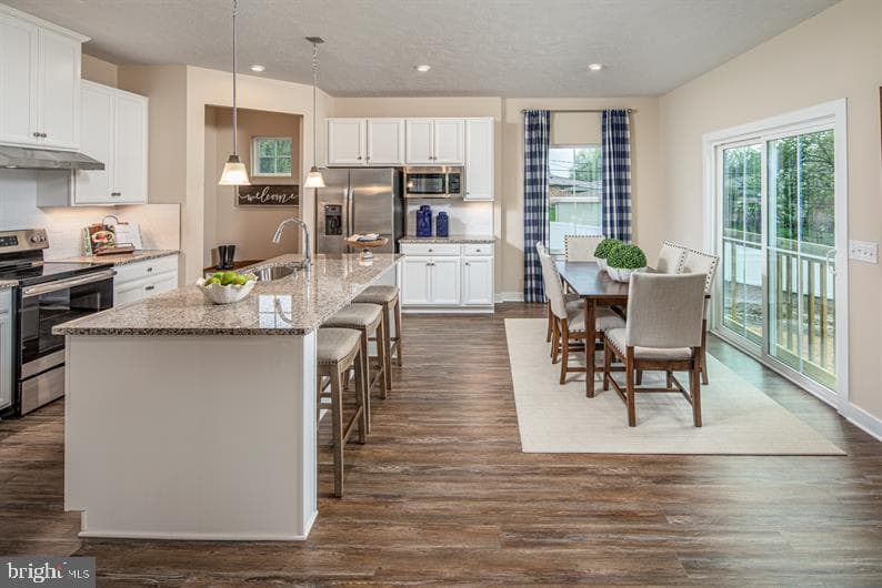 349 Ruffian Road photo 6