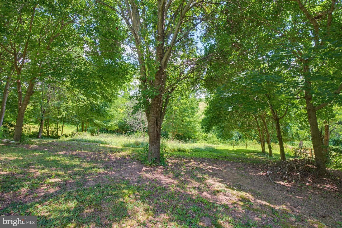 3896 Old Joseph Road photo 4