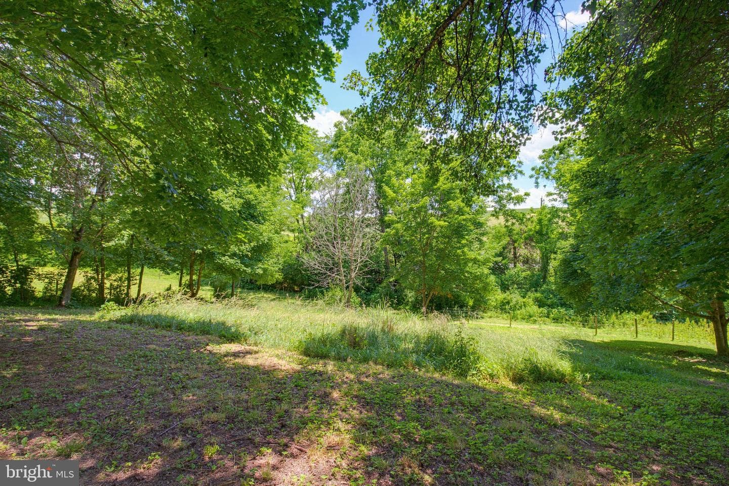 3896 Old Joseph Road photo 5