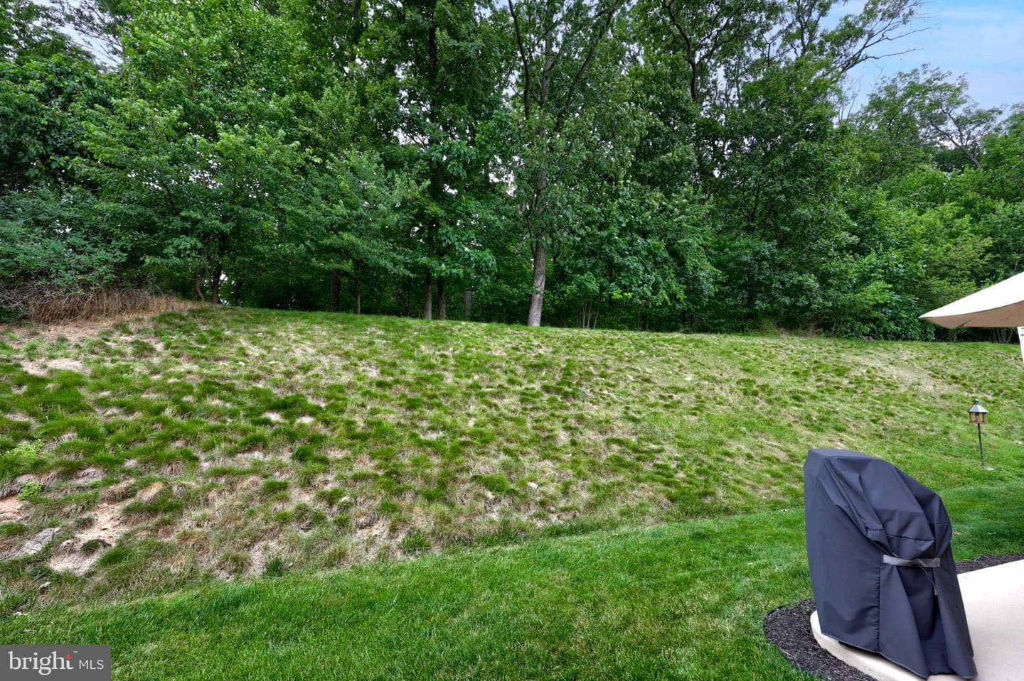 865 Meadow Court photo 49