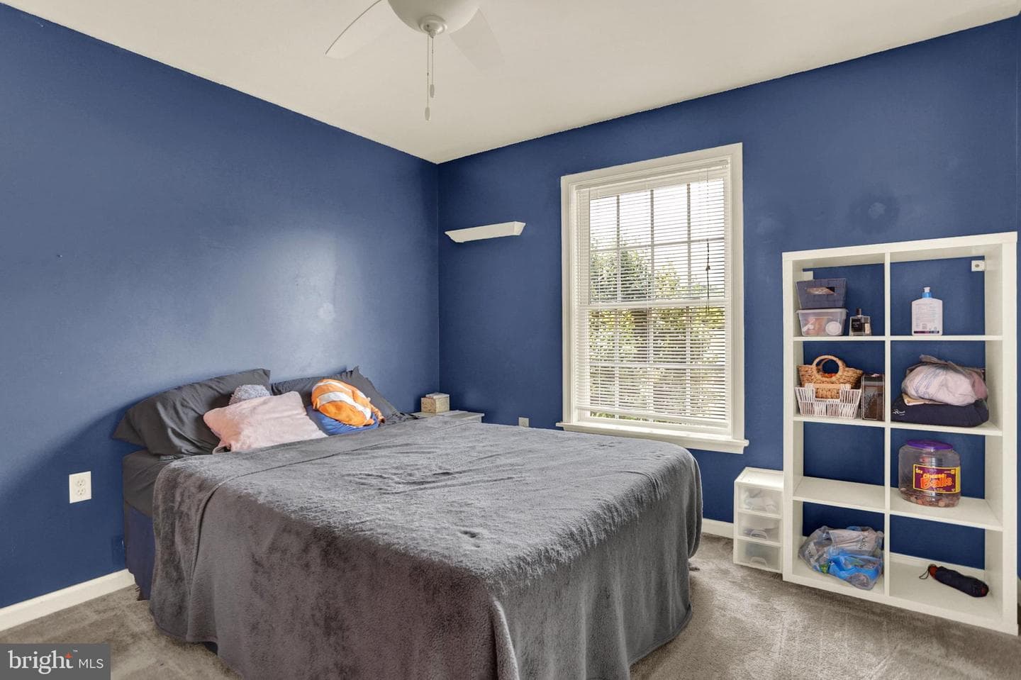 415 Clover Street photo 24