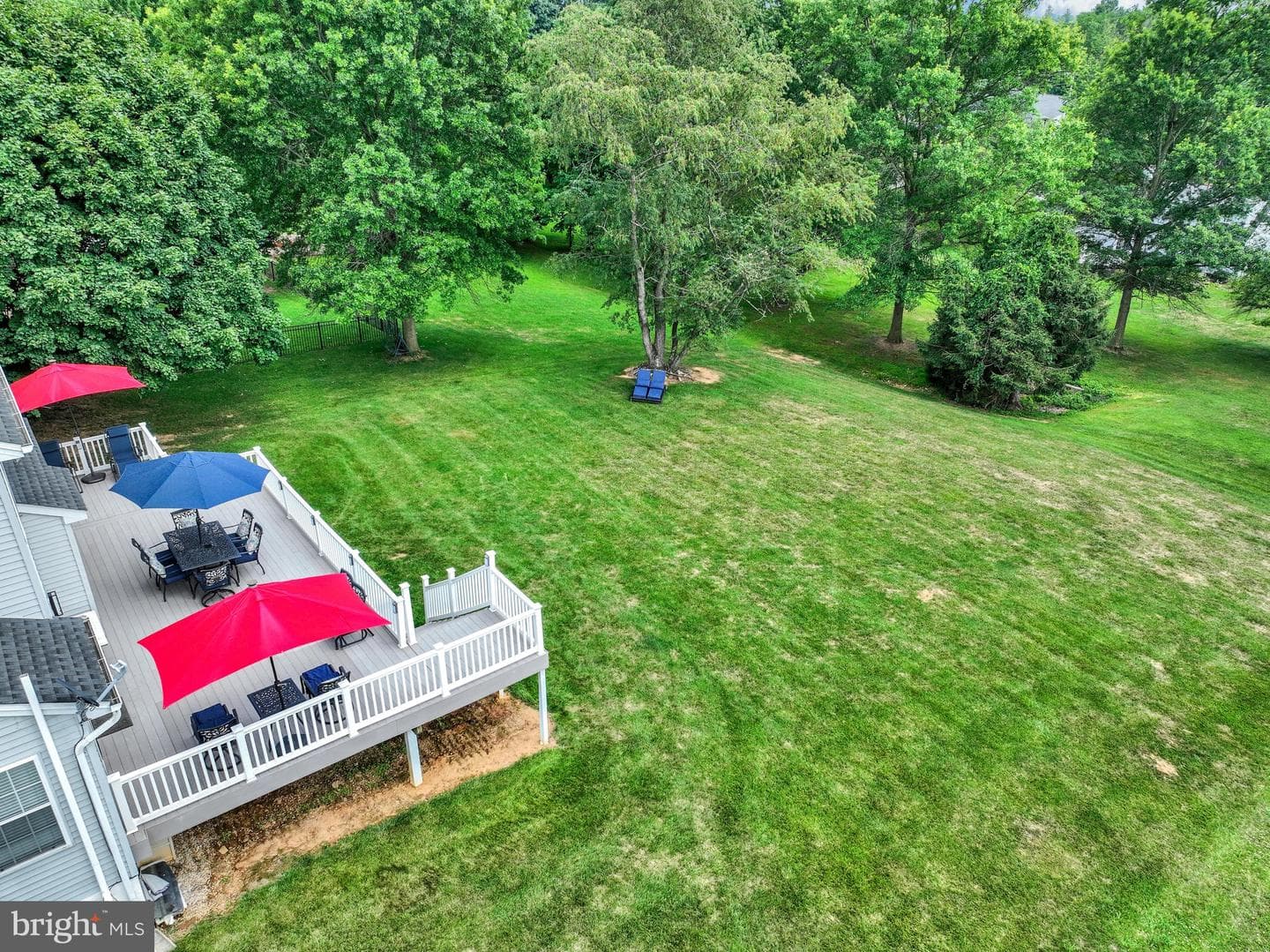 118 Charles Avenue photo 41