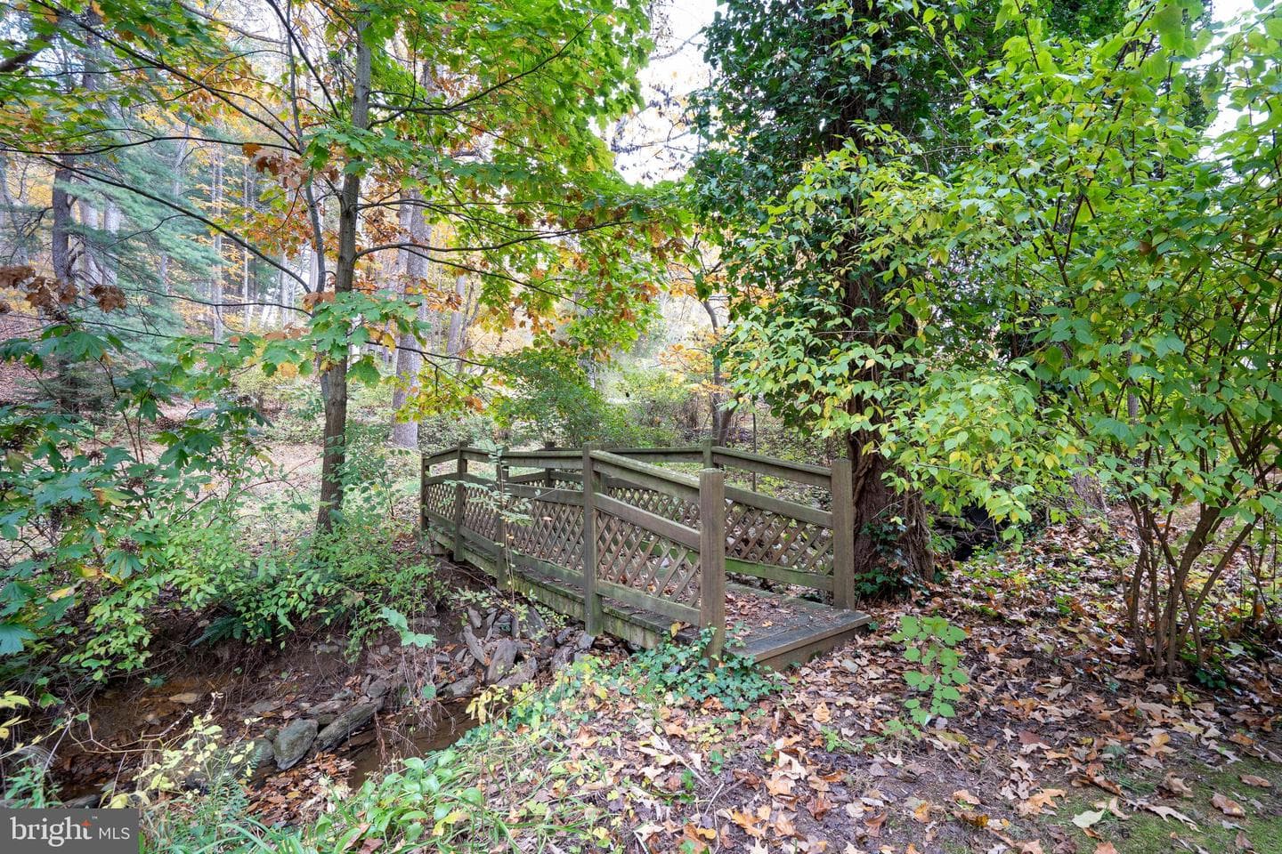 9980 Douglas Road photo 55