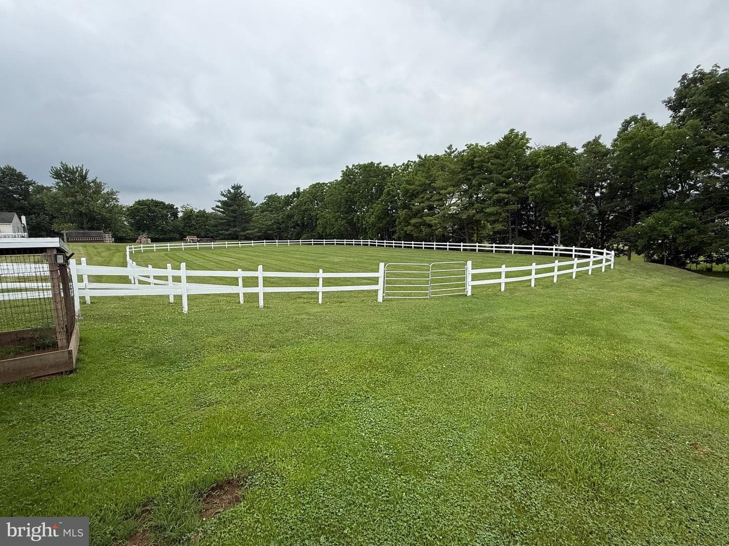 472 Scotch Pine Road photo 19