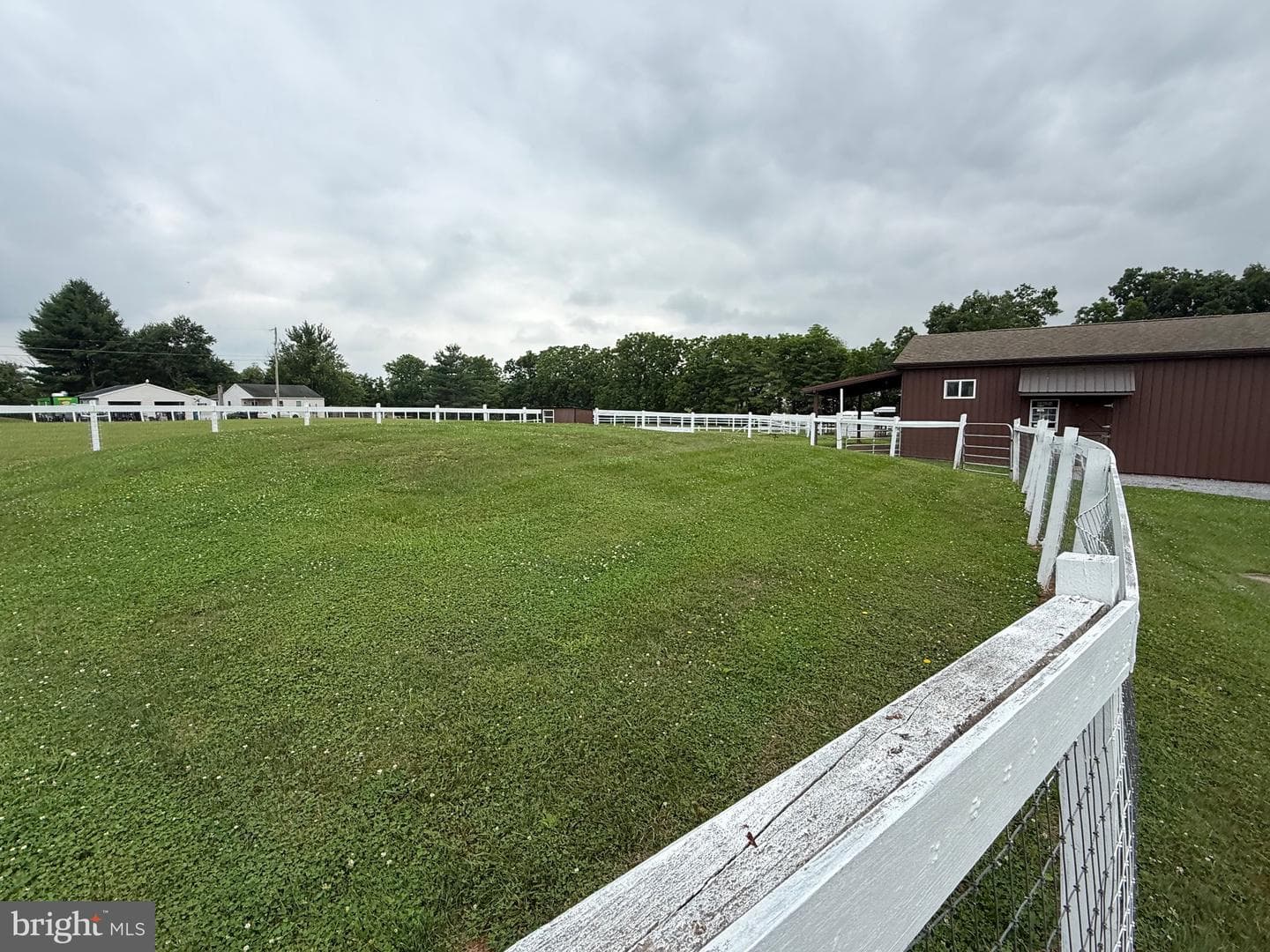 472 Scotch Pine Road photo 20