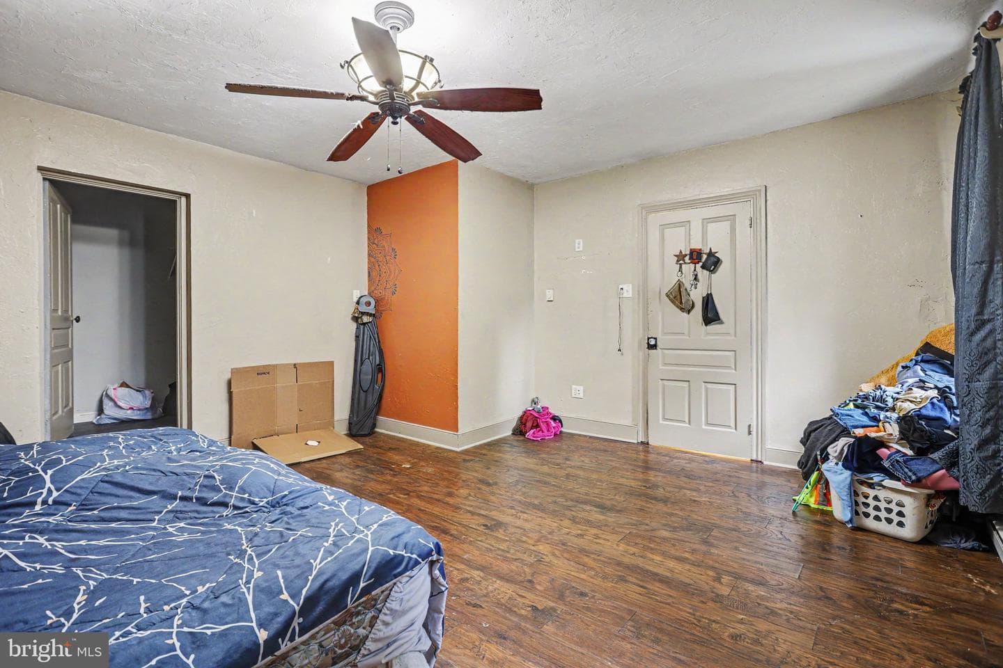 61 Mayfield Street photo 17