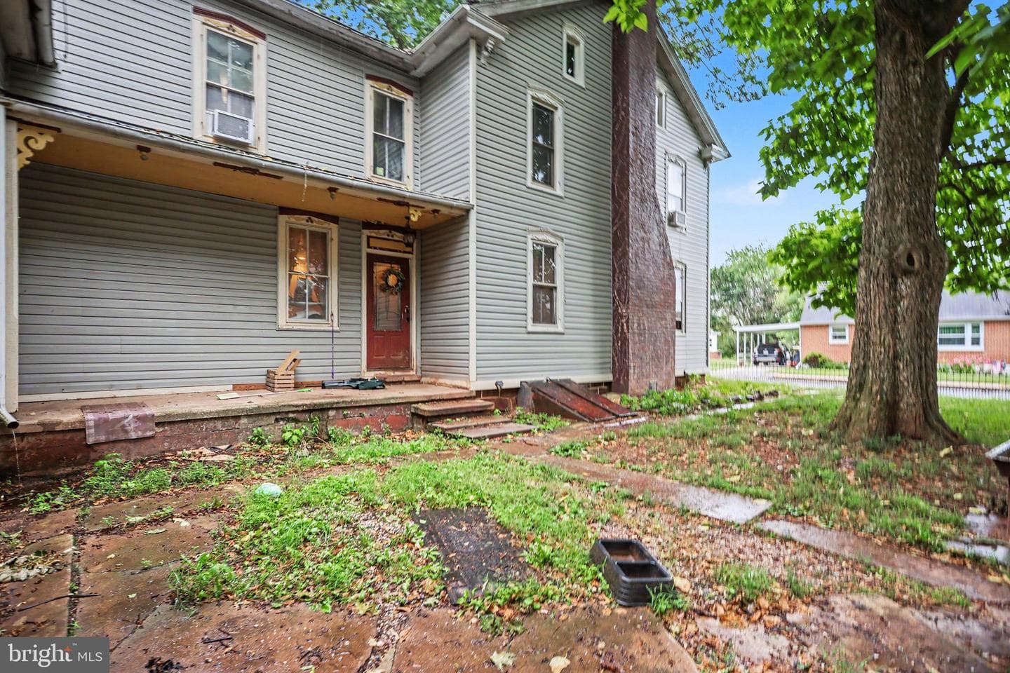 61 Mayfield Street photo 4