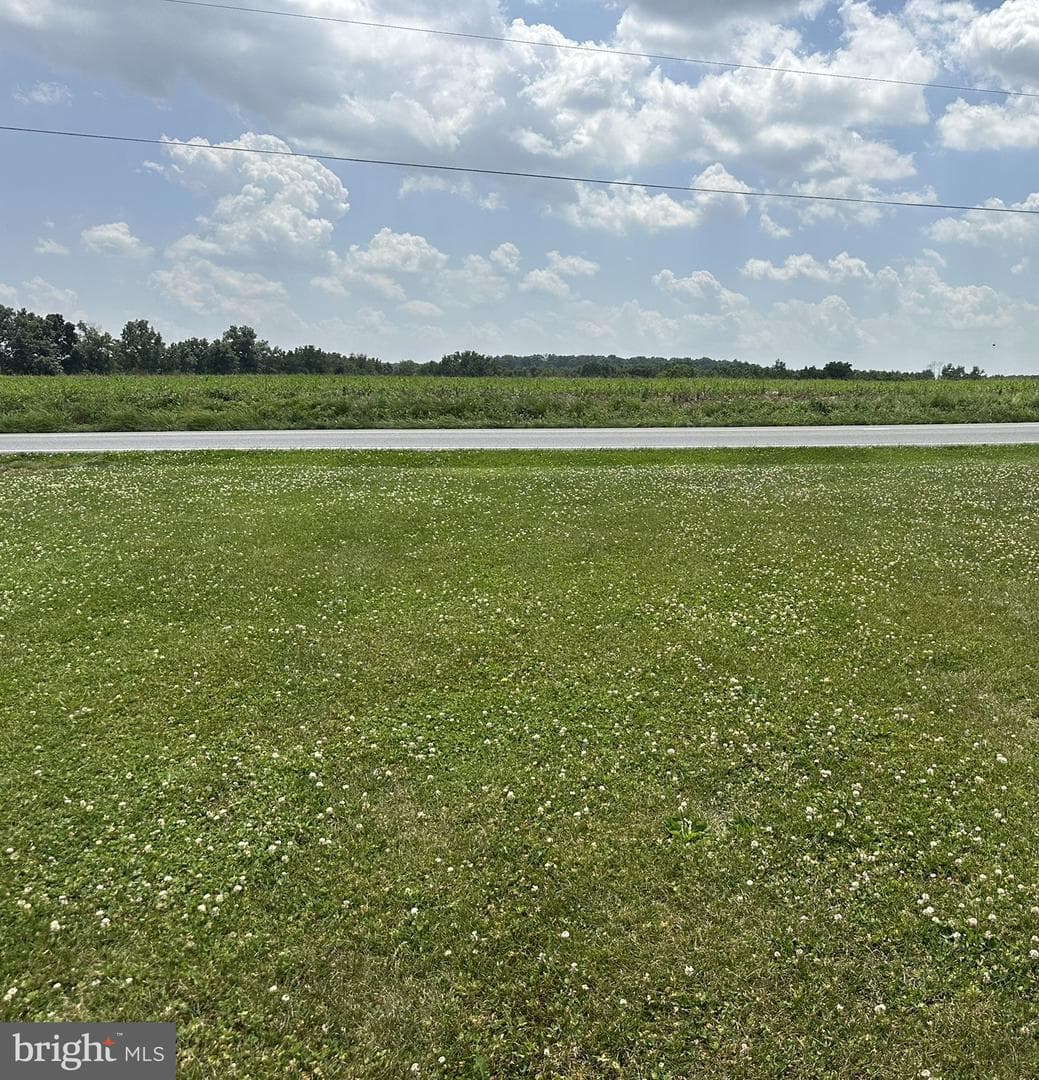 985 Fairview Drive photo 3