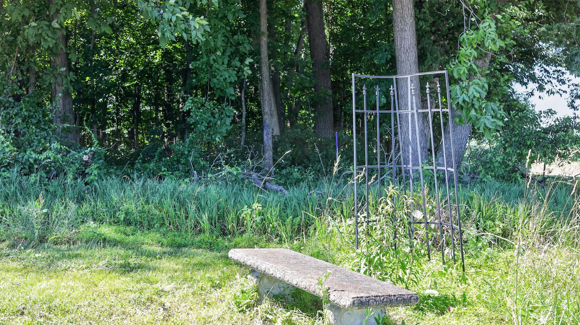 8042 Bobs Road photo 36