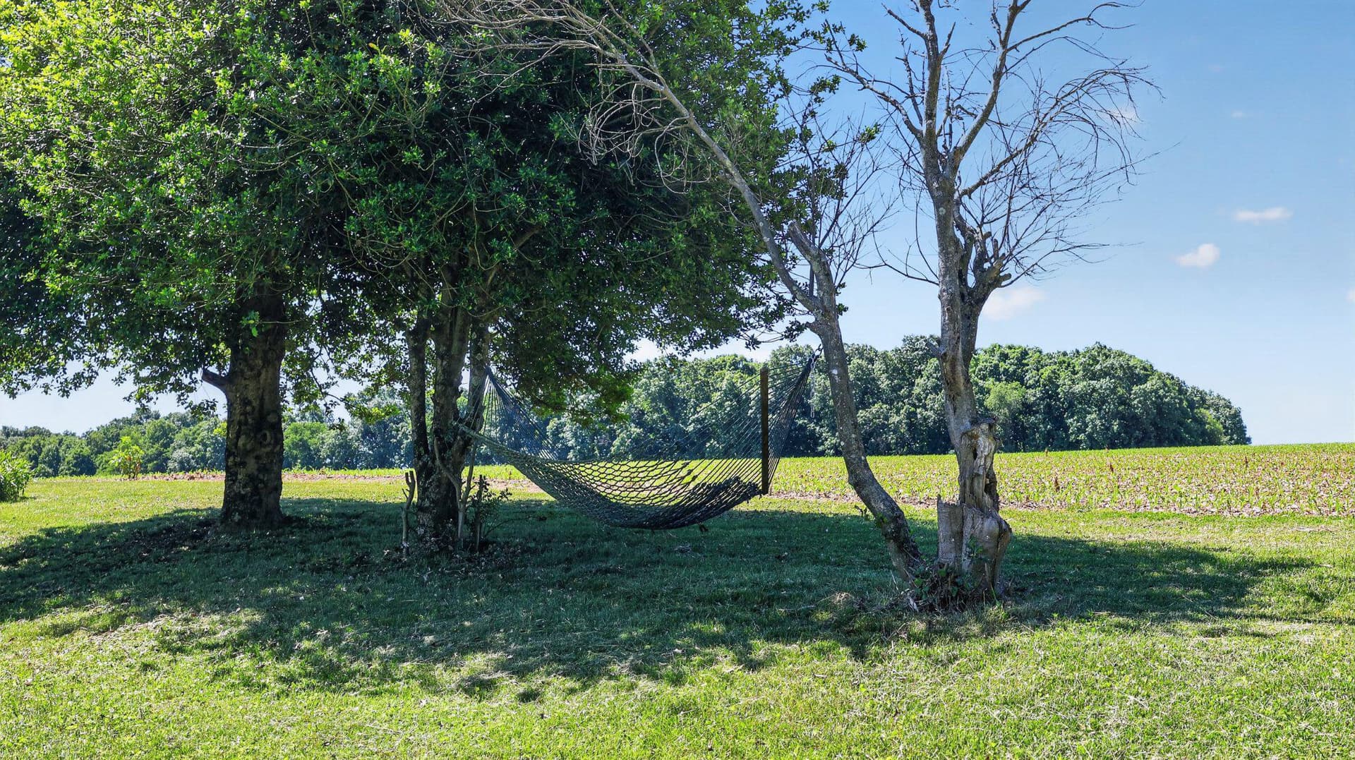 8042 Bobs Road photo 39