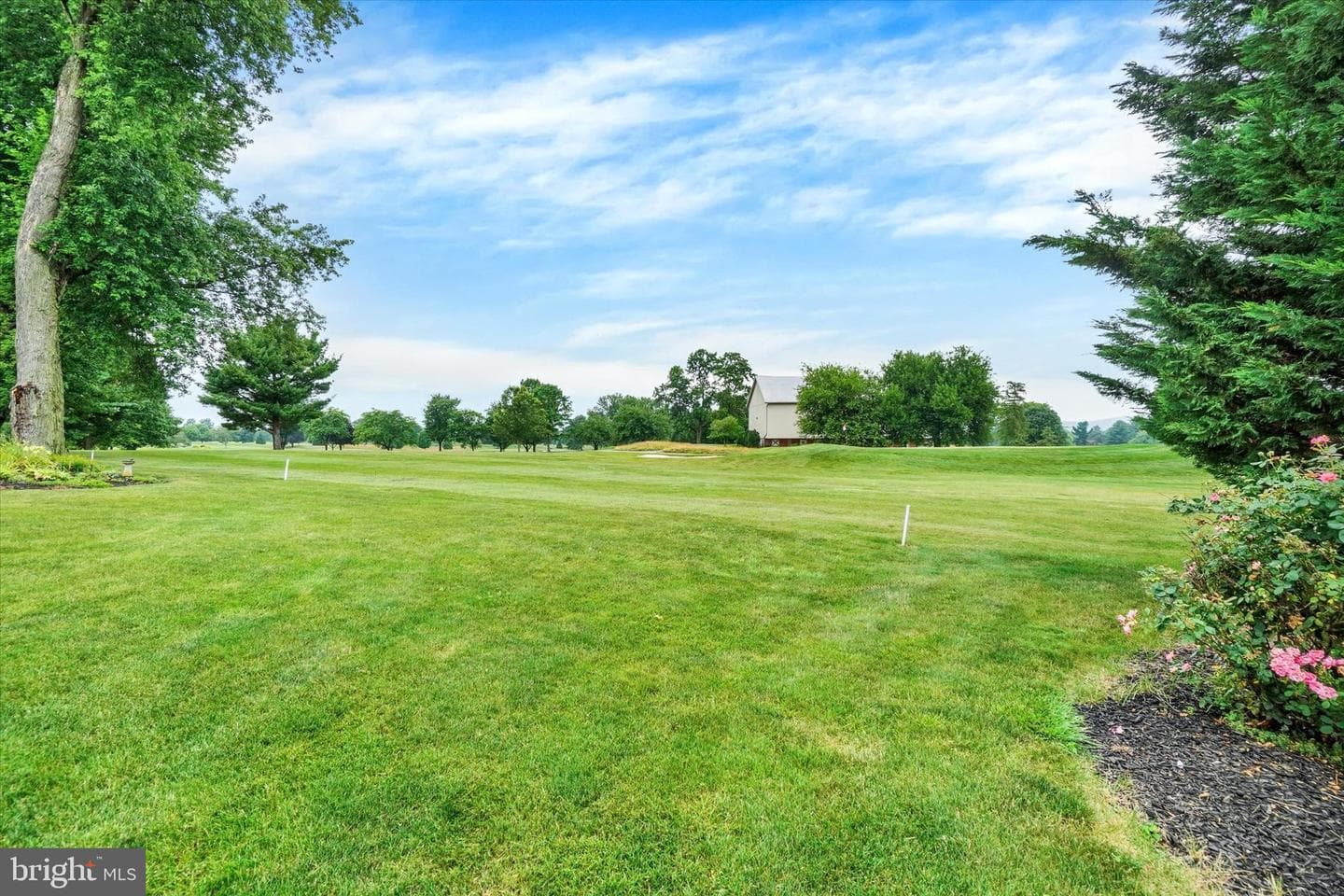985 Detwiler Drive photo 27