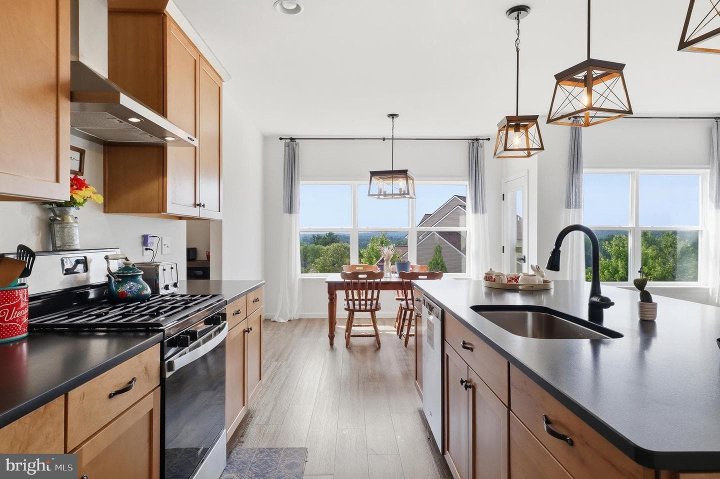 216 Hollyhock Drive photo 14