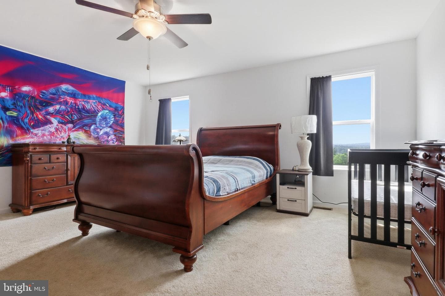 216 Hollyhock Drive photo 29