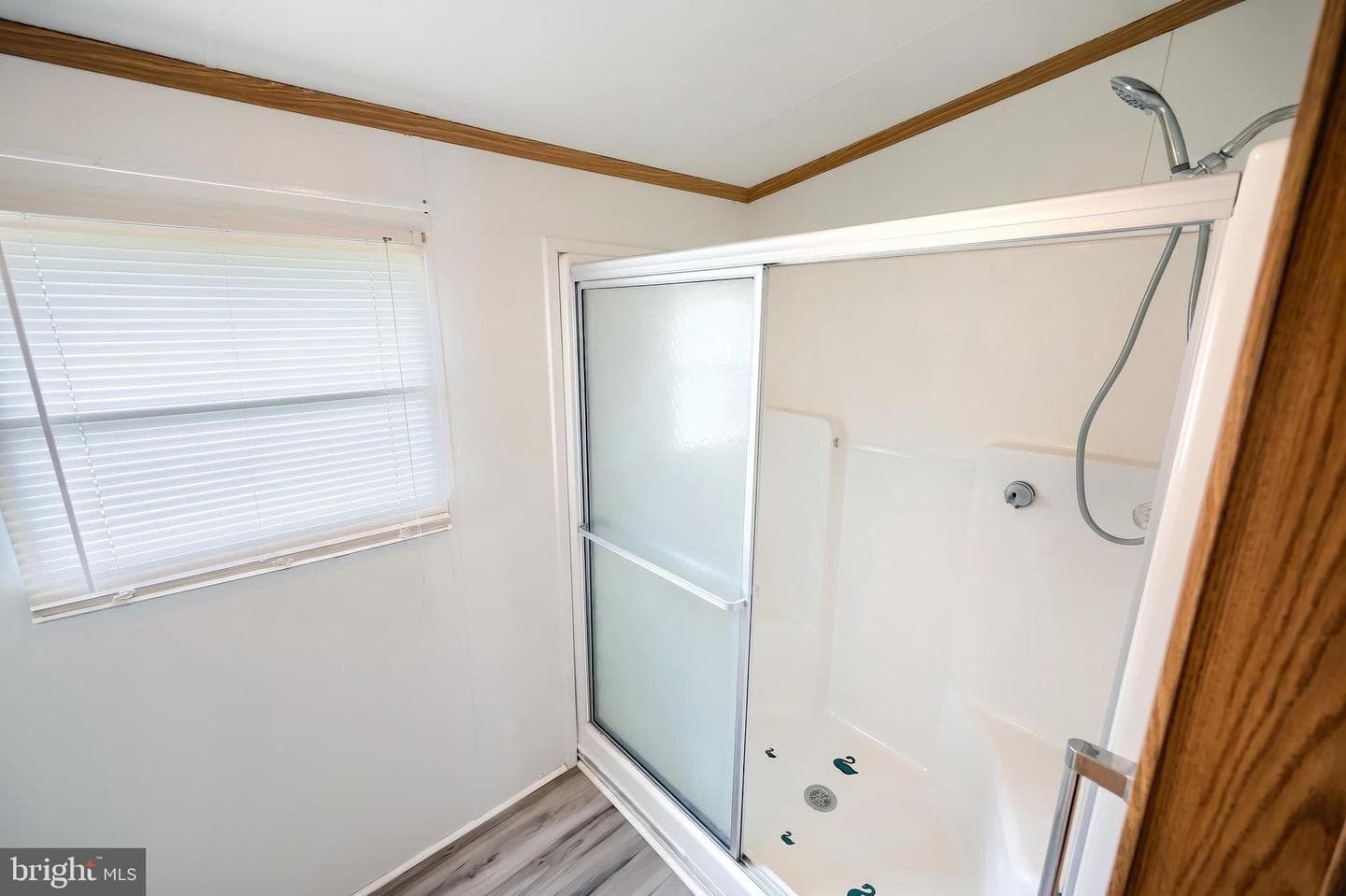 123 Mimosa Drive photo 14