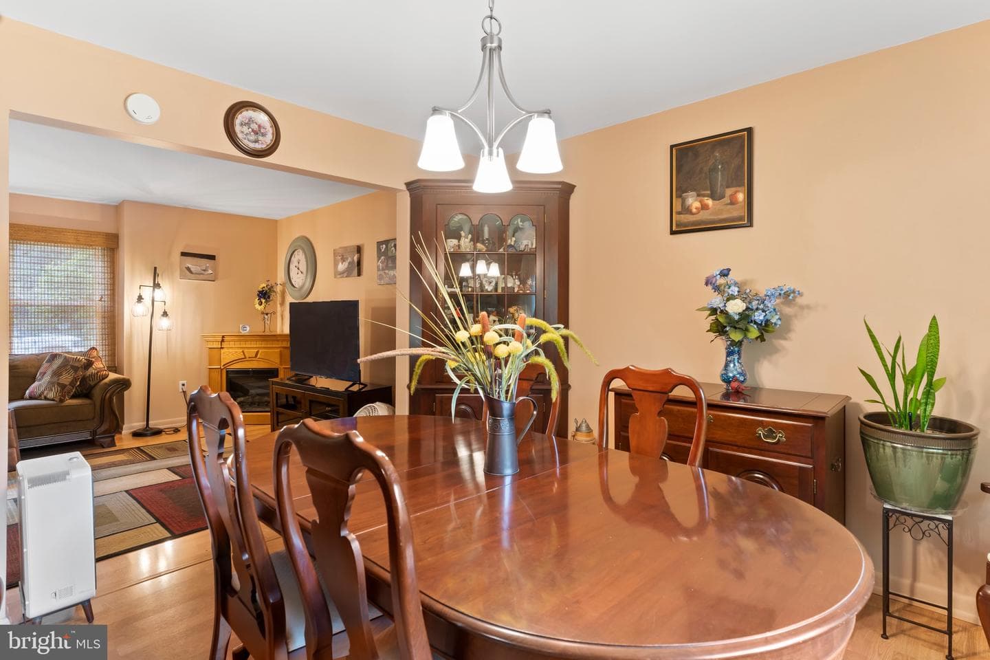 109 Yellow Breeches Drive photo 8