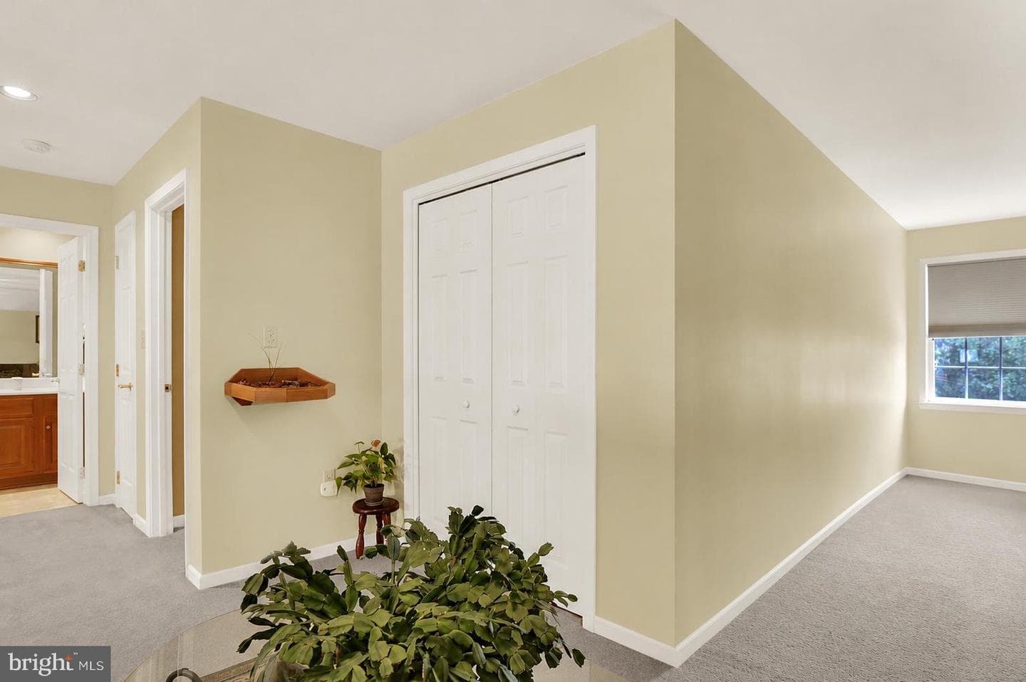 107 Red Haven Road photo 28